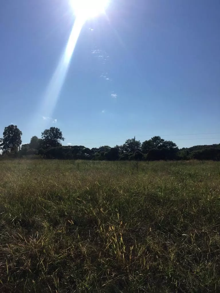 Cottage Grove, WI 53527,Lot 1 Wooded Ridge Tr