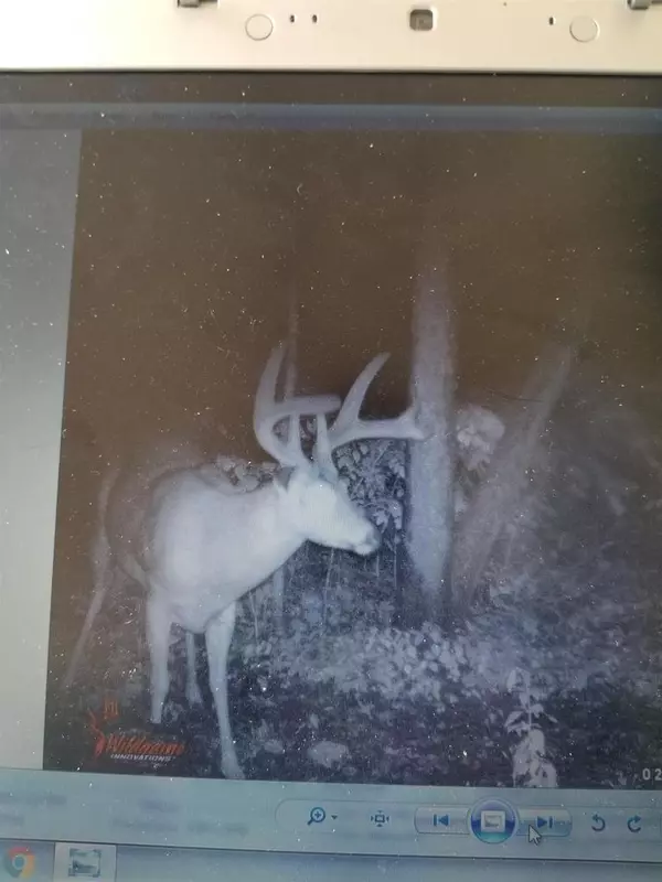 Wauzeka, WI 53826,53337 Morovits Hollow Road