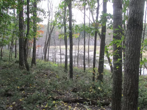 Grand Marsh, WI 53936,L2 2nd Ave