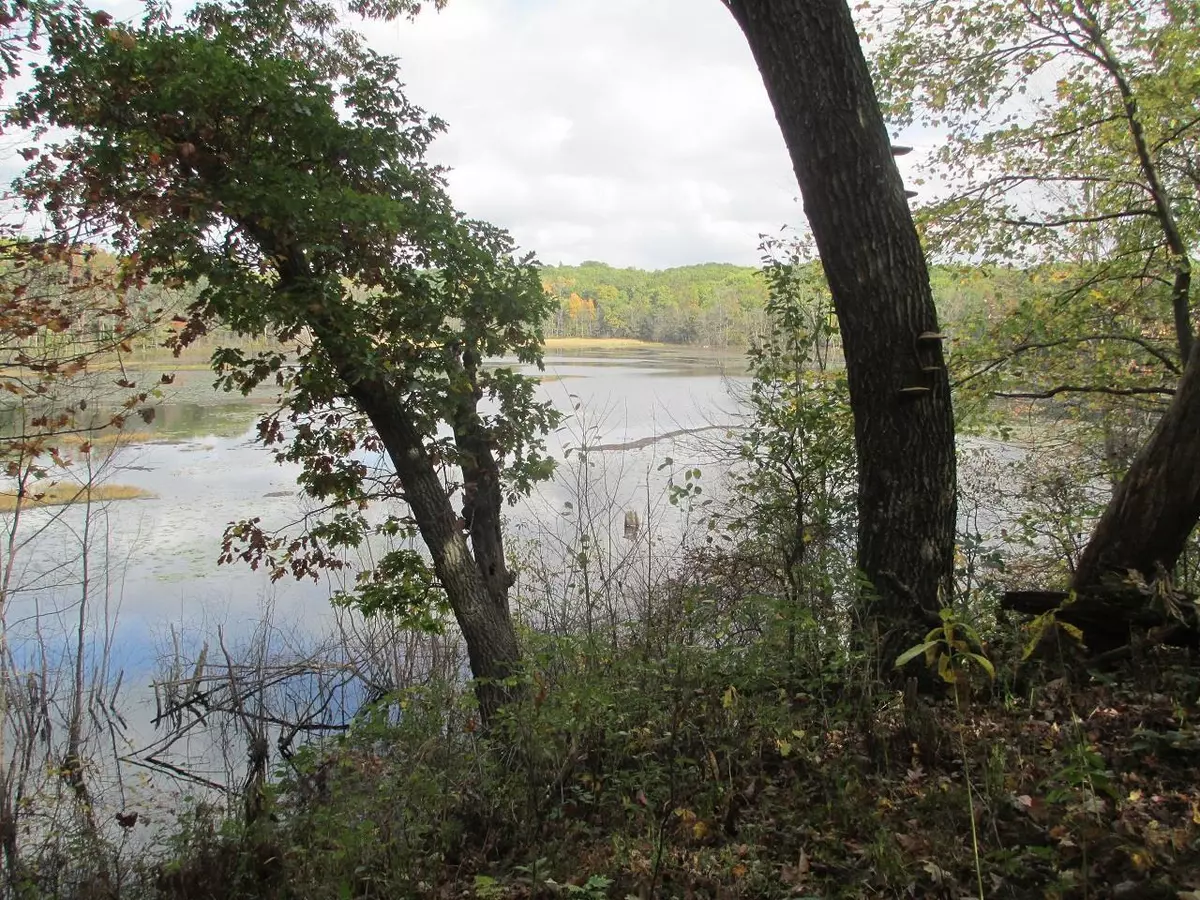 Grand Marsh, WI 53936,L2 2nd Ave