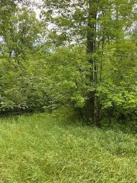 Lt0 NETZEL LANE, Crivitz, WI 54114