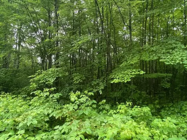 Crivitz, WI 54114,Lt0 NETZEL LANE