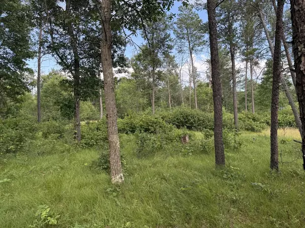 Nekoosa, WI 54457,171 W WALDEN WAY