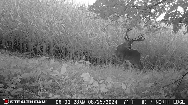 Arcadia, WI 54612,0 THEURER LANE