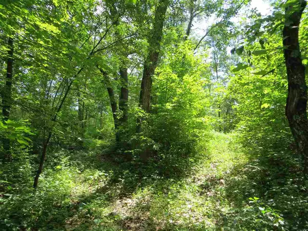 Lot 44 Black Oak Ct, Coloma, WI 54930