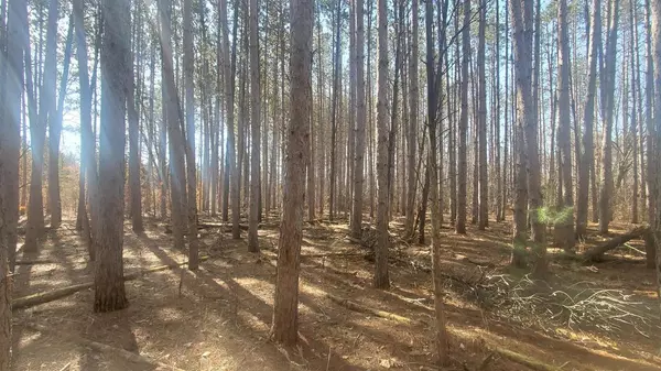 Lyndon Station, WI 53944,Lot 59 Amherst Rd