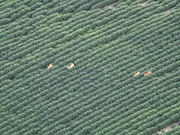 Whitehall, WI 54773,W20102 IRVINS COULEE ROAD