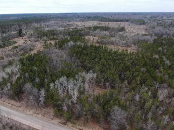 Hancock, WI 54943,80 Ac 8th Ave