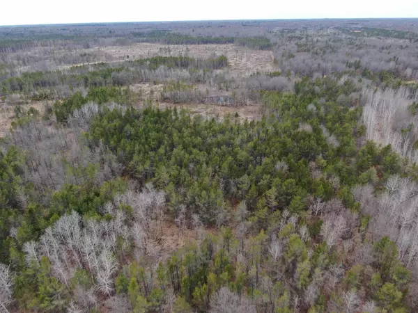 Hancock, WI 54943,80 Ac 8th Ave