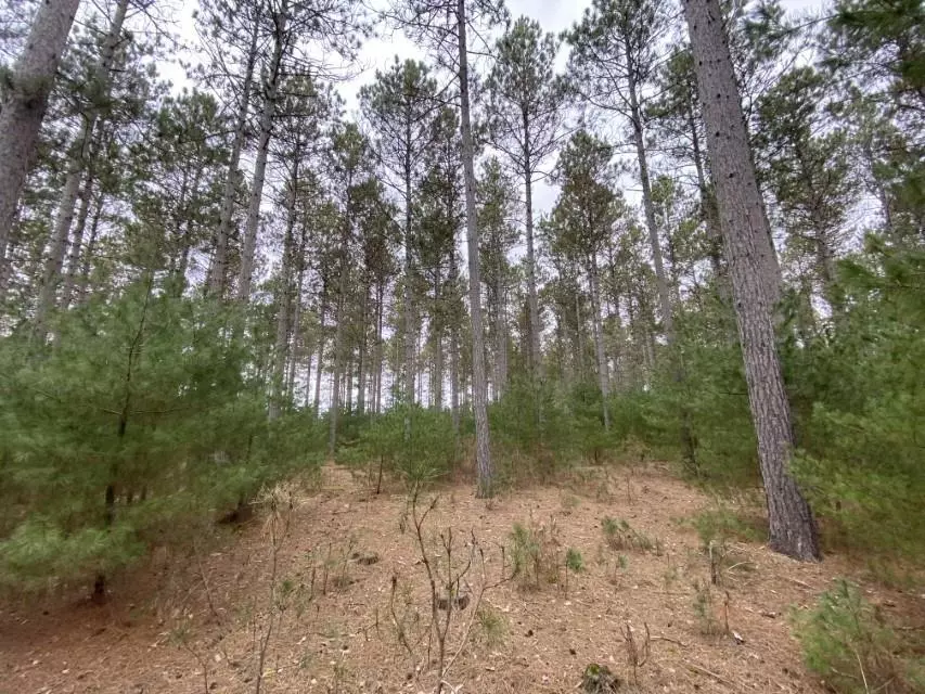 Hancock, WI 54943,Lot 17 9th Ave