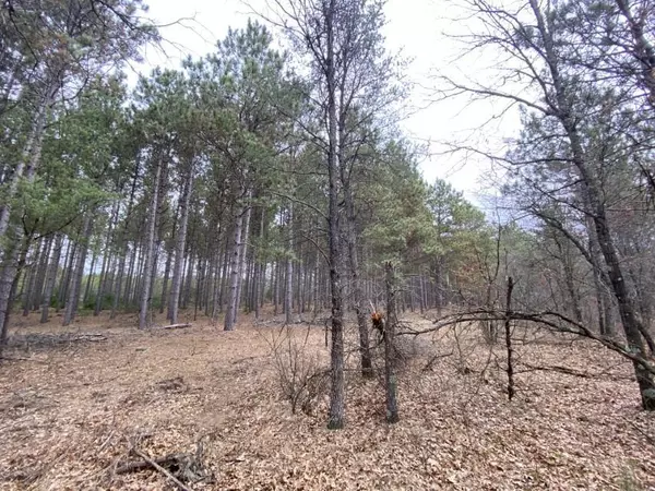 Hancock, WI 54943,Lot 11 Beaver Ave