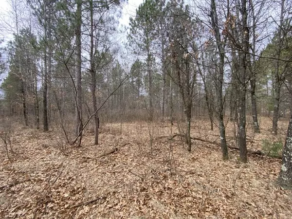 Hancock, WI 54943,Lot 11 Beaver Ave