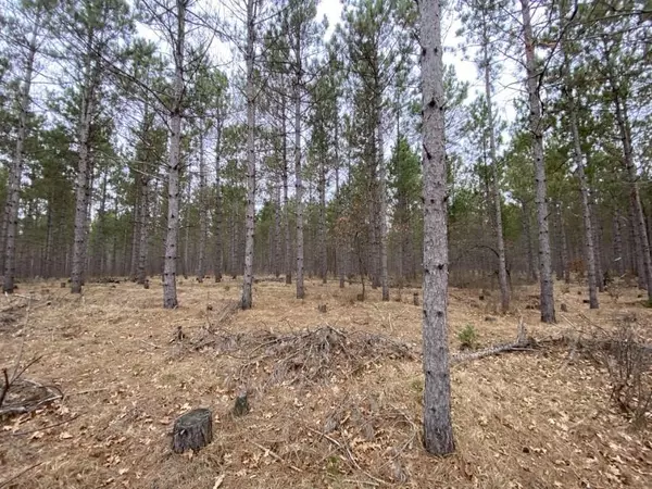 Lot 3 8th Ave, Hancock, WI 54943