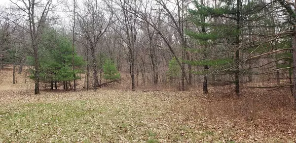 2516 W 4th Dr, Grand Marsh, WI 53936