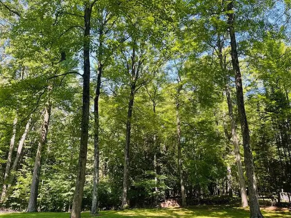 Marinette, WI 54143,W1380 Little River ROAD