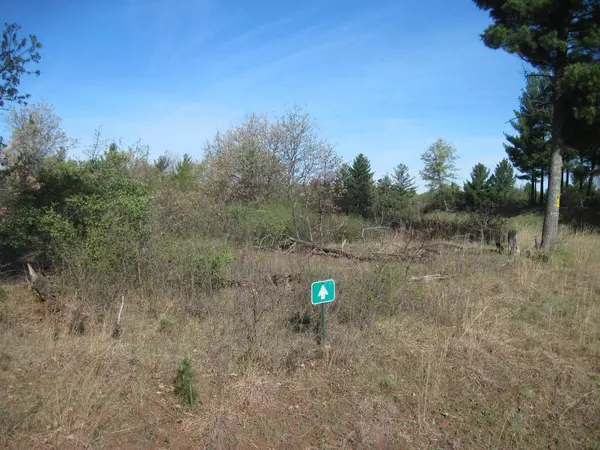 Hancock, WI 54943,1017 9th Ave