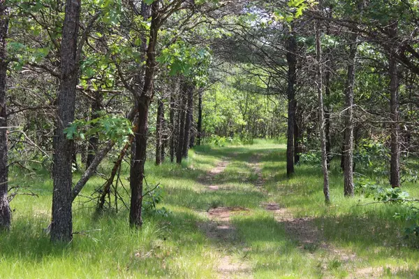 Arkdale, WI 54613,Lot 2 15th ave