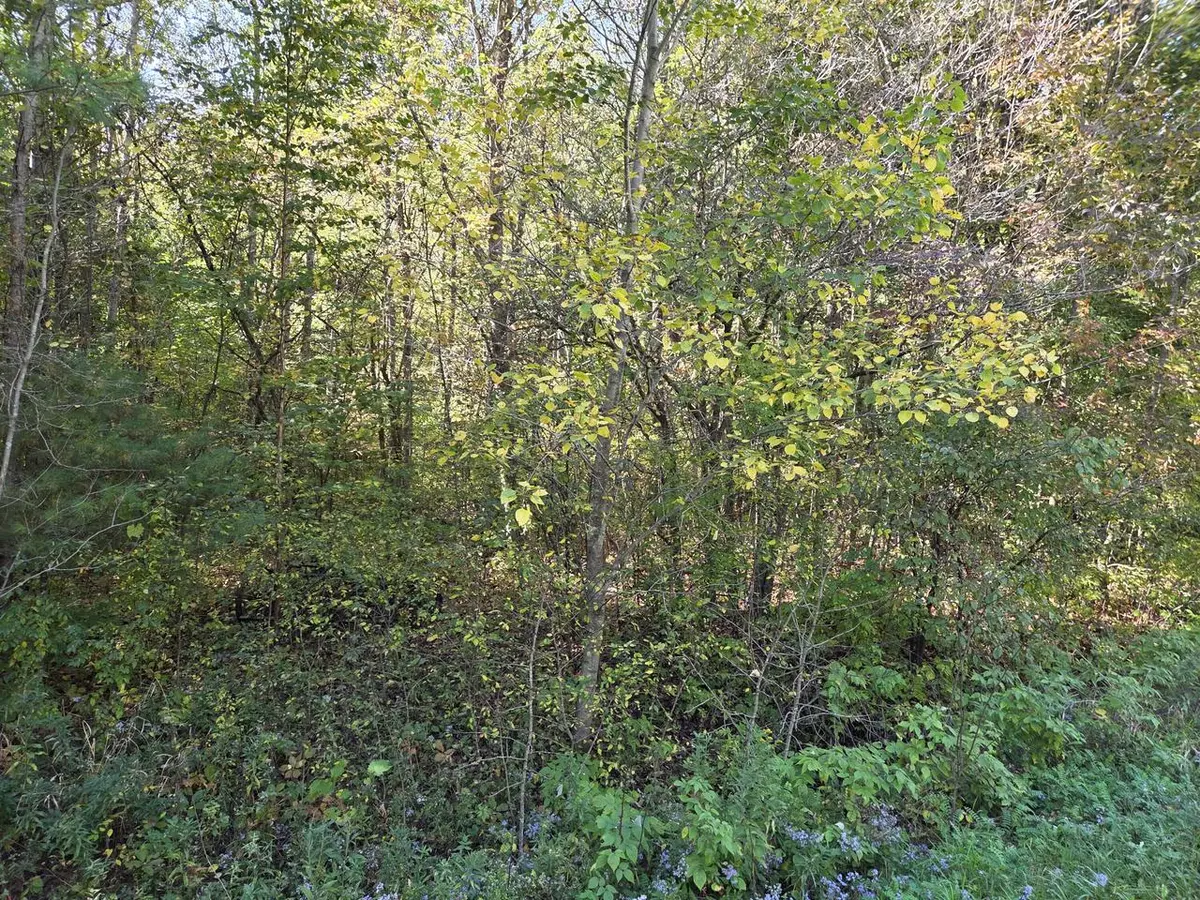 Kiel, WI 53042,Lt2 CARSTENS LAKE ROAD