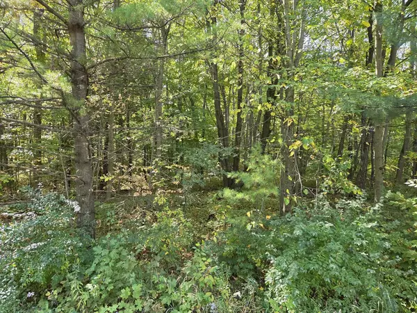Kiel, WI 53042,Lt1 CARSTENS LAKE ROAD