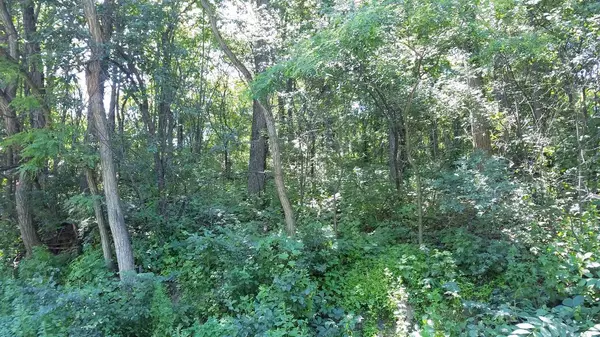 Lot 83 Tall Oaks Rd, Waunakee, WI 53597