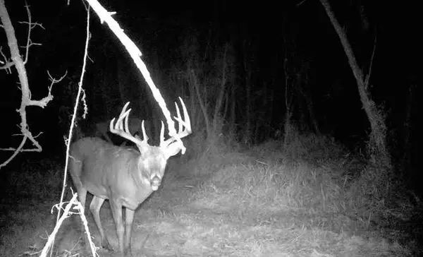 Fountain City, WI 54629,S2986 BARTH ROAD