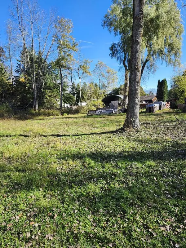 Two Rivers, WI 54241,Lt99 DAVIS STREET