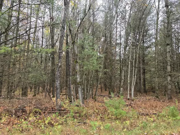 Warrens, WI 54666,W5416 BEAR BLUFF ROAD