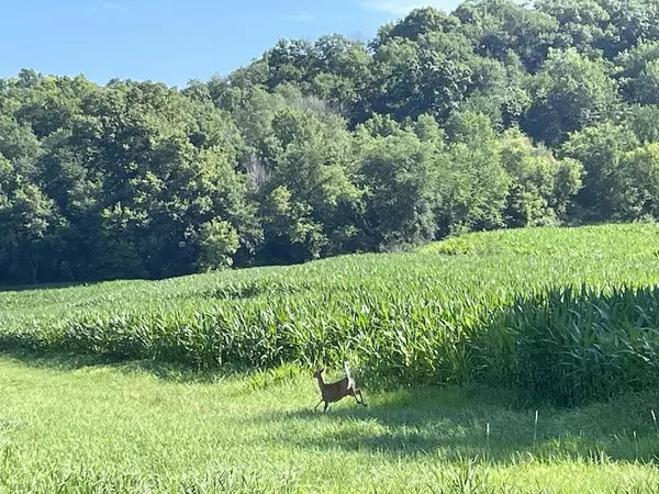 Lone Rock, WI 53556,000 Post Hollow Ln