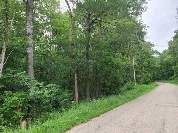 Baraboo, WI 53913,2.69 AC O'Neil Rd