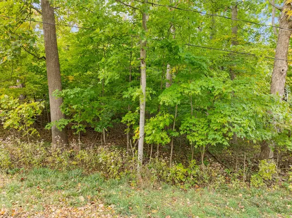 Fontana, WI 53125,Lt31 SUMMIT DRIVE