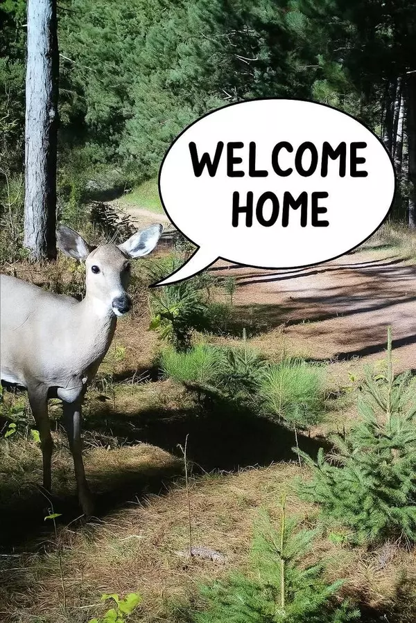 Grand Marsh, WI 53936,2536 4th DRIVE