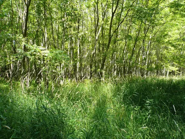 Cottage Grove, WI 53527,139 acre Baxter Rd