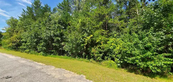 Lyndon Station, WI 53944,1.72A Bass Lake Ln