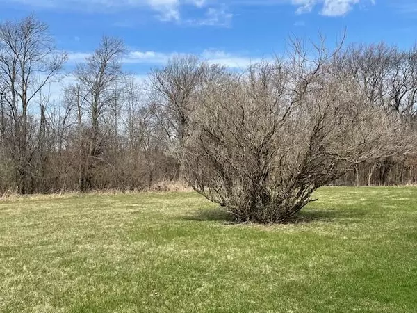 Elkhorn, WI 53121,Lt42 PRESERVE DRIVE