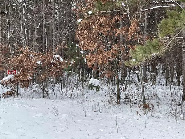 Nekoosa, WI 54457,W3090 Yellow Banks Tr