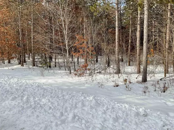 Nekoosa, WI 54457,Lot 63 Yellow Banks TRAIL