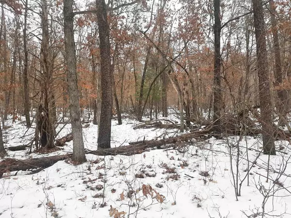 Lyndon Station, WI 53944,8.59+/- acres Lyndon Rd