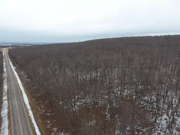 Rock Springs, WI 53961,20 Acres County Road D