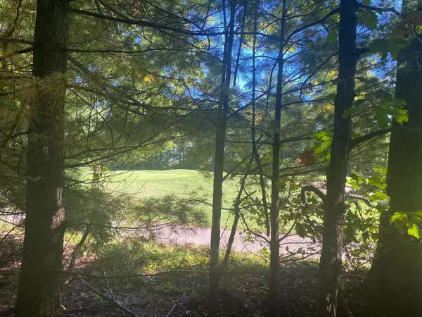 Wisconsin Dells, WI 53940,335 Pine Meadow Court