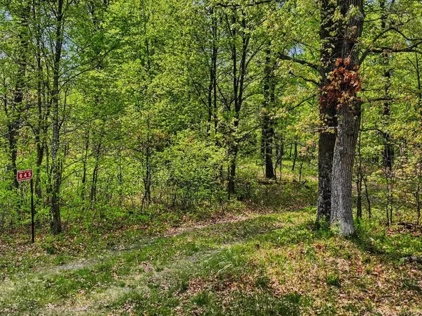 Hancock, WI 54943,645 County Road O