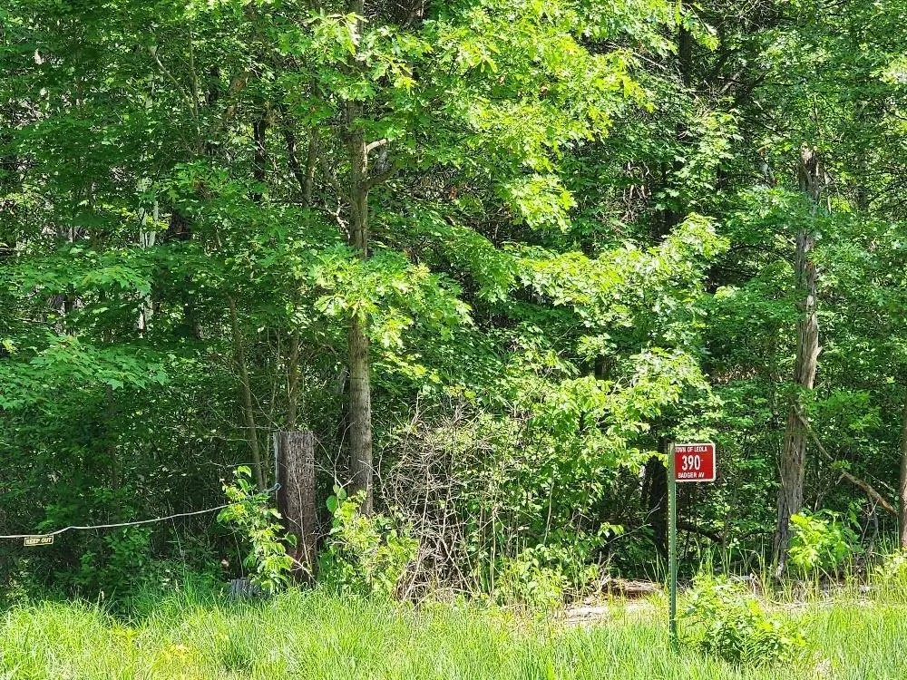 Hancock, WI 54943,390 Badger Avenue