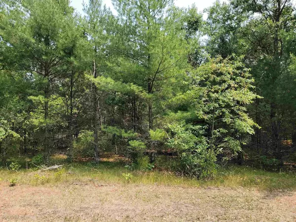 Arkdale, WI 54613,L18 W 17th Lane