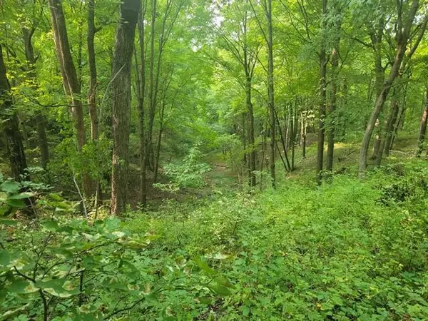 67.31 Acres County Road W, North Freedom, WI 53951