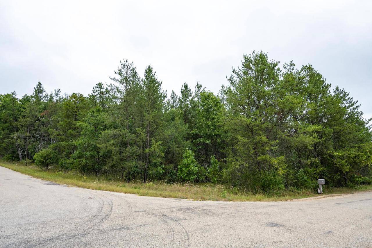 Wisconsin Dells, WI 53965,L46 Fern Lane
