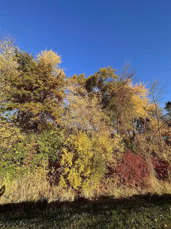 Fall River, WI 53932,156 Lazy Lake Drive