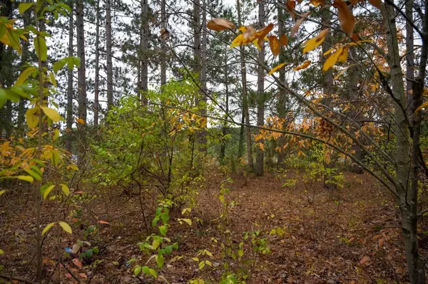 Grand Marsh, WI 53936,Lot 17 10th Lane