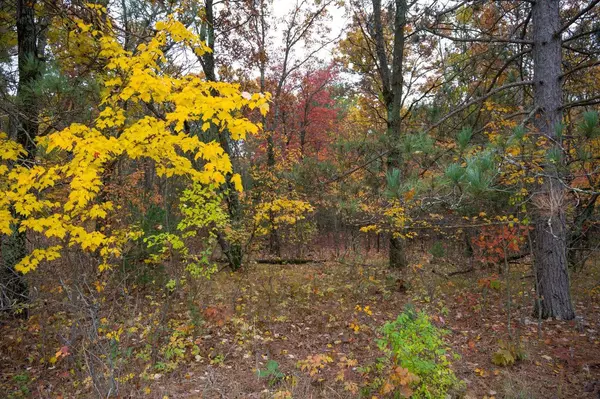 Lot 17 Fawn Drive, Grand Marsh, WI 53936