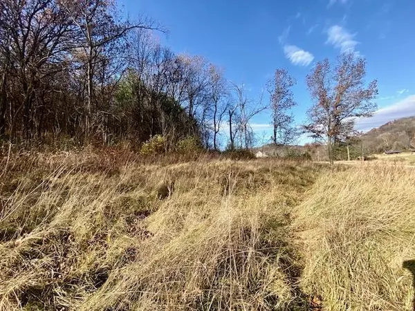 Lone Rock, WI 53556,L8 Strang Hollow Road