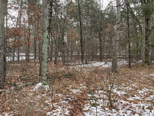 Nekoosa, WI 54457,1447 Sawgrass Drive