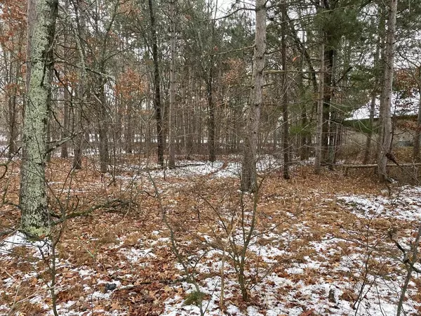 Nekoosa, WI 54457,1447 Sawgrass Drive